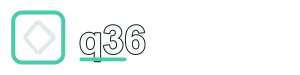 q36 official website logo